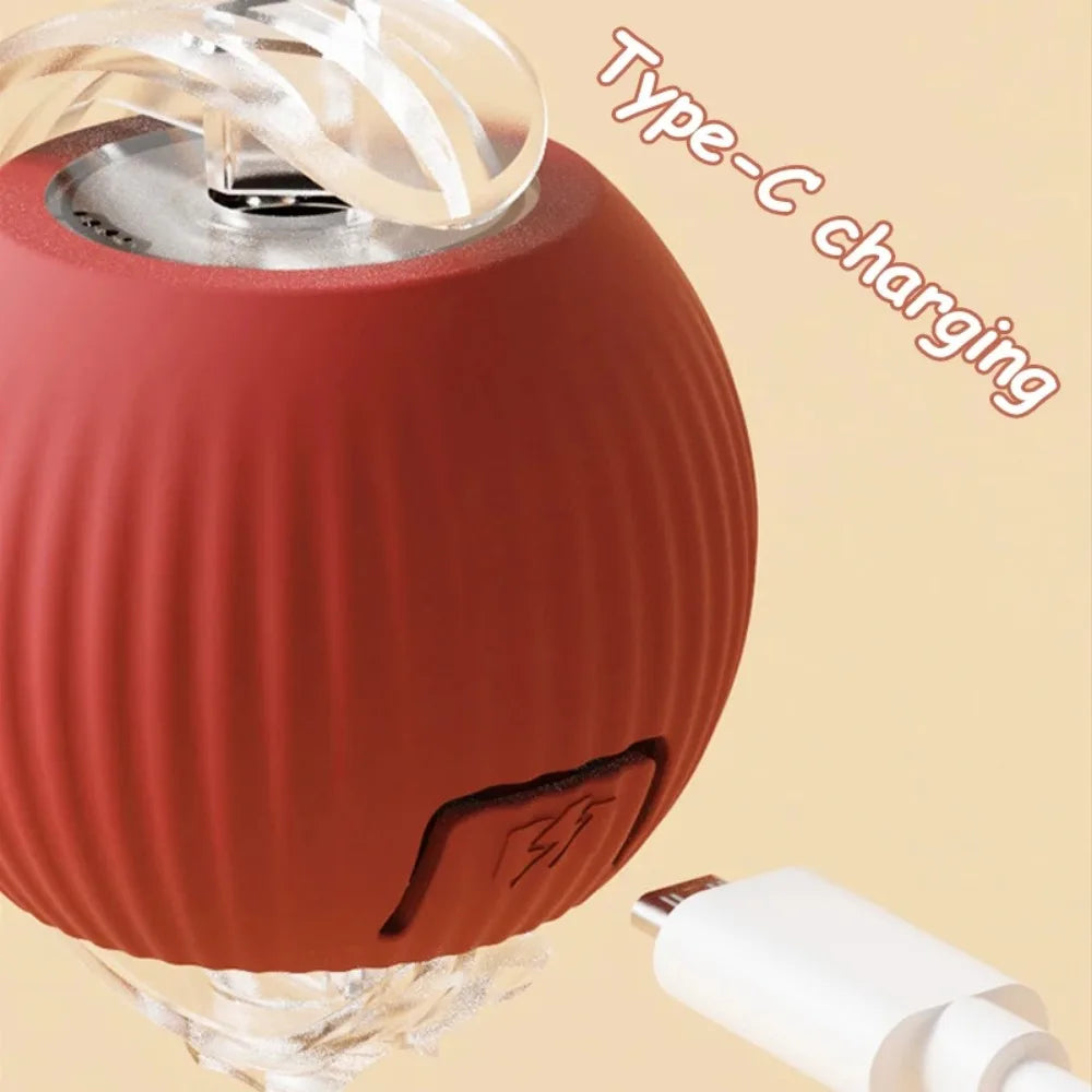 Purr-Chase™ Interactive Ball