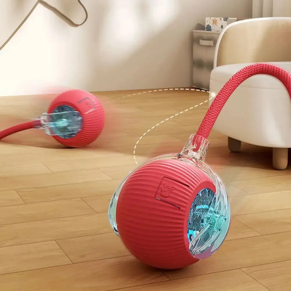 Purr-Chase™ Interactive Ball