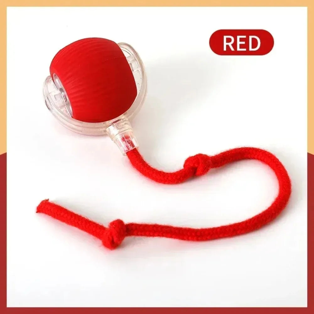Purr-Chase™ Interactive Ball
