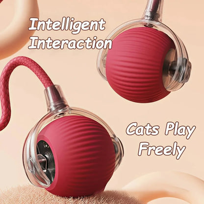 Purr-Chase™ Interactive Ball