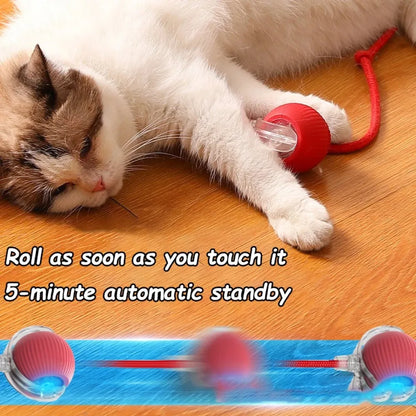 Purr-Chase™ Interactive Ball