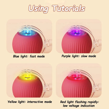 Purr-Chase™ Interactive Ball
